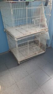 foto_13
